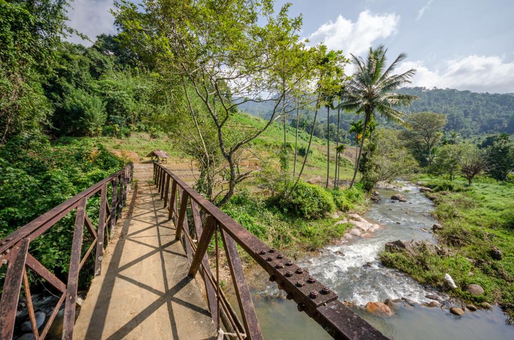 Randonnées incontournables à faire au Sri Lanka | 5 treks !