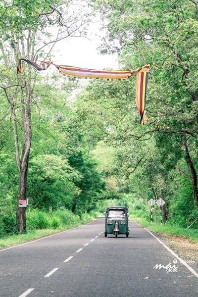« Green Tour » : l’agence Mai Globe Travels parcourt le Sri Lanka à pied 