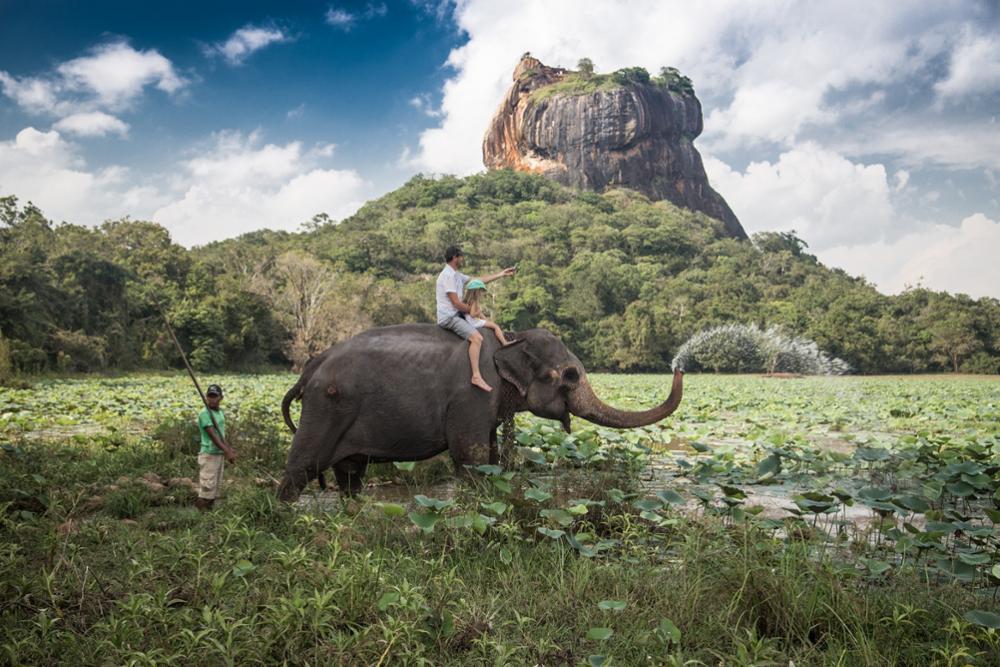 Les activités touristiques à éviter au Sri Lanka | Nos conseils pour un tourisme responsable